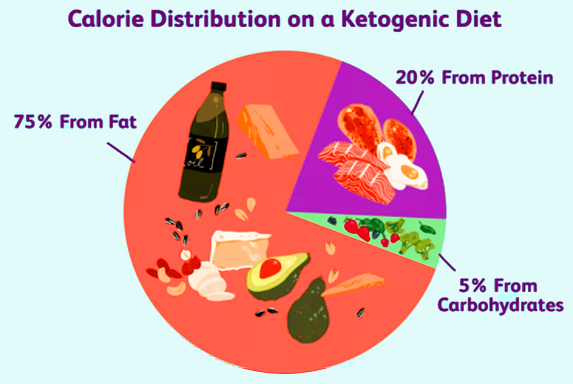 Caloric distribution of s ketogenic diet