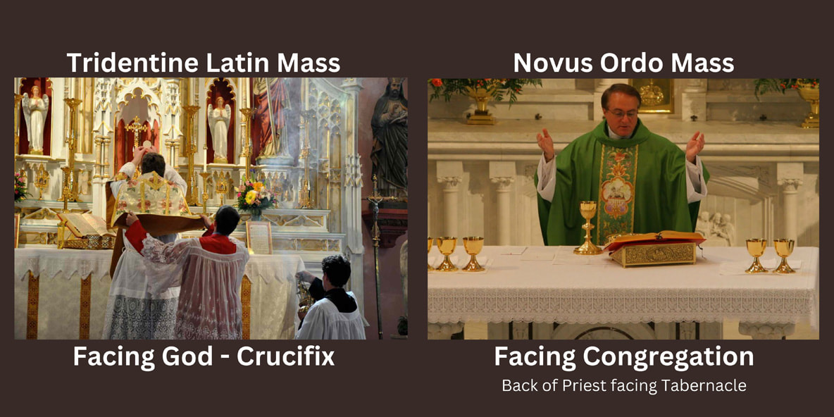 the difference betweenn the Latin Mass and the Novus Ordo Mass